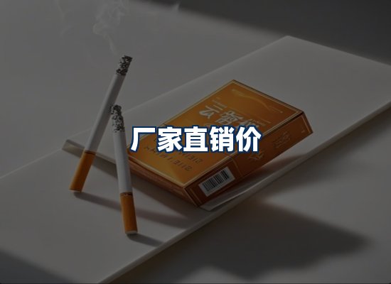 专业团队办公环境